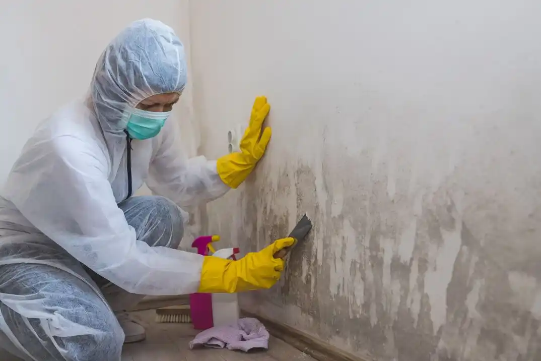 water damage restoration service Central College Station